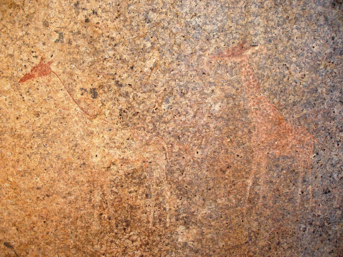 Ai Aiba - The Rock Painting Lodge Omaruru Esterno foto